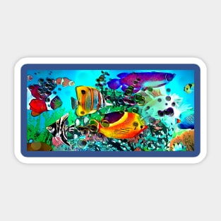 Aquarium Sticker